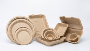 CLAMSHELLS, PLATES AND CO